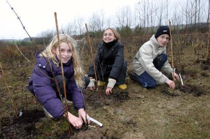 Plantation d'une haie par les enfants