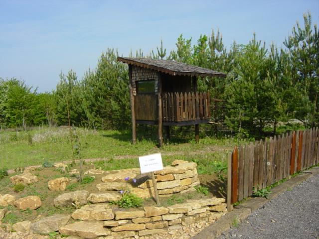 Jardin des enfants et sa cabane sur pilotis