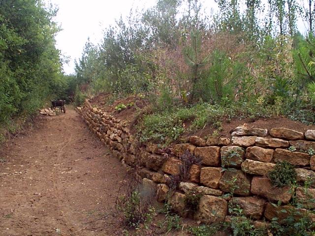 Photos de la création d'un chemin creux