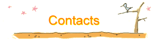 Contacts
